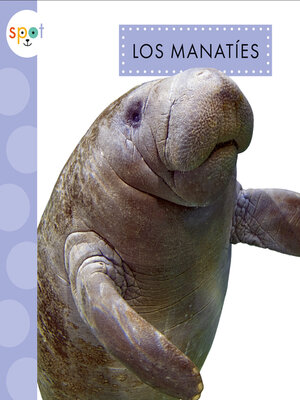 cover image of Los manatíes